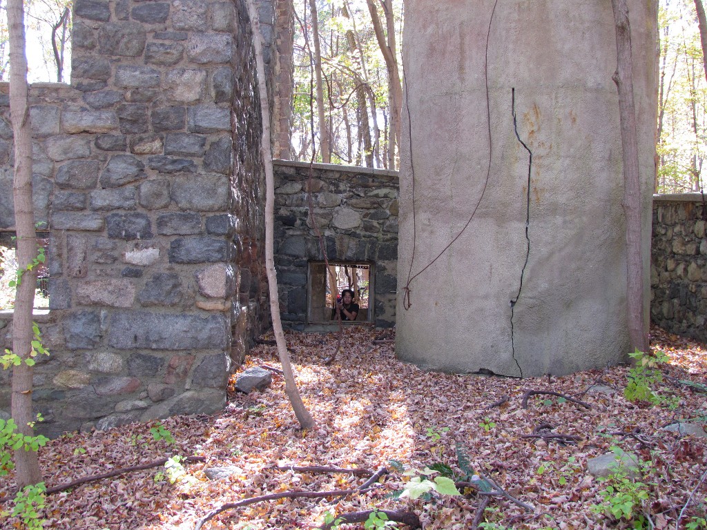 IMG_1465_sml.jpg