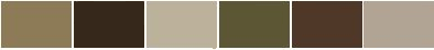 multicam.png