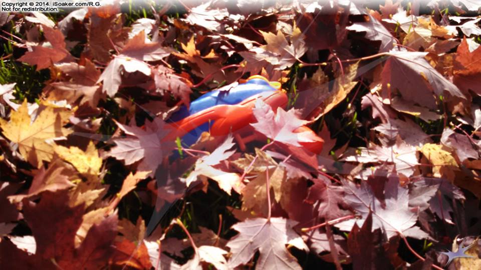 20141020_fall.jpg