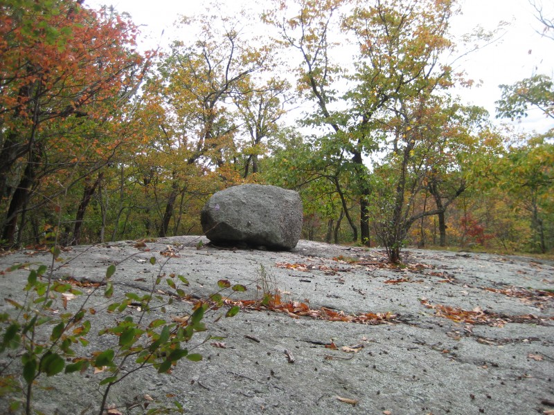 bearmtn2.jpg